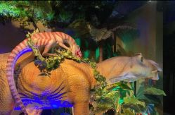 -恐龙探索乐园(磁器口店)