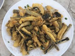 -鲤鱼塘农家山庄