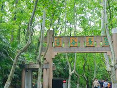 -灵谷景区