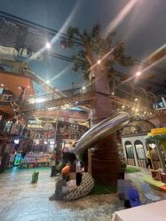 -卡通尼·Safari非洲探索乐园·生日会(金桥国际商业广场店)