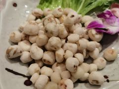 -同仁四季椰子鸡(福田东园总店)