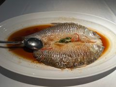 -凤凰湘语(浦东旗舰店)
