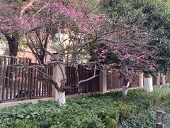 -浙江大学医学院附属第一医院(庆春院区)