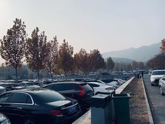 -北京西山国家森林公园