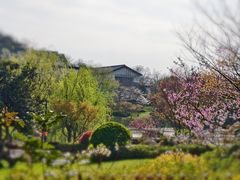 -雅达·阳羡溪山小镇中心