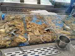 -半岛听涛蒸汽海鲜自助(K11店)