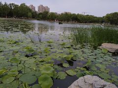 -太阳宫公园