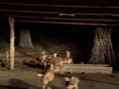 -清迈夜间动物园