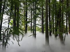 -东湖落雁景区