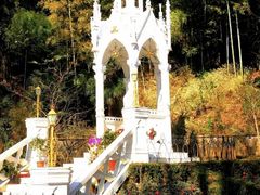 -上海佘山国家森林公园西佘山园