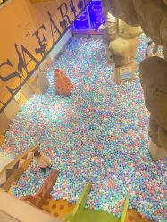 -卡通尼·Safari非洲探索乐园·生日会(金桥国际商业广场店)