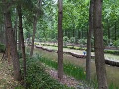 -合肥滨湖国家森林公园