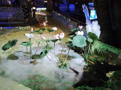 -华夏文旅海洋公园