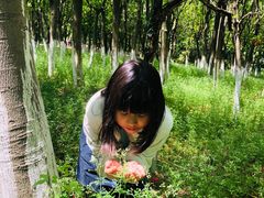 -艾溪湖湿地公园