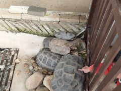 -厦门园林博览苑