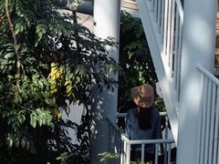 -郑州植物园