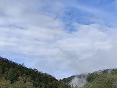 -郑远元专业修脚房(电子六路金泰小学店)