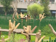 -沈阳森林动物园