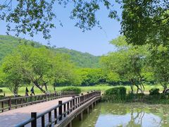 -八卦田遗址公园