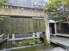 -苏州本色美术馆