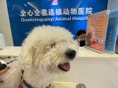 -全心全意连锁动物医院·微创中心·内科急重症·心脏专科(丰管路店)