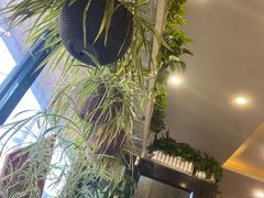 -盛京富丽园老菜馆·东北菜(和平南大街店)