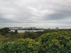 -立新湖公园