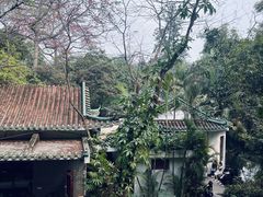 -广州兰圃