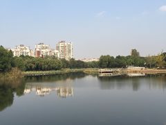 -新江湾城公园