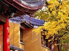 -灵谷景区
