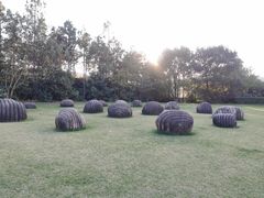 -上海月湖雕塑公园