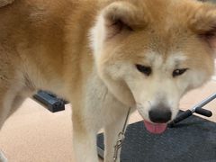 -YCHL Studios健身工作室(市二宫店)