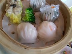 -新兴·金羊座·粤菜点心(乐峰店)