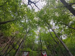 -五女山景区
