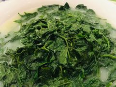 上汤浸辣椒叶-新成海港大酒楼(康华路店)