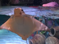 -沈阳海洋探索中心