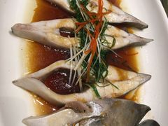 -绿岛国际酒店·海鲜酒楼(八七路店)