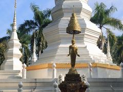 -西双版纳傣族园