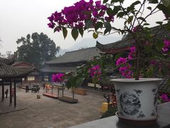 -峨眉山报国寺
