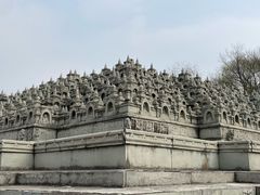-北京世界公园