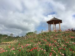 -北纬44度·金珠花海休闲农业旅游景区