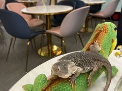 -FAIRYLAND龙族星球主题餐厅(凯丹广场店)