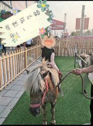 -萌宠亲子动物乐园(槐房万达店)