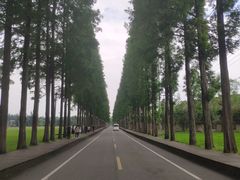-青城山
