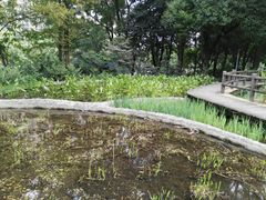-成都市活水公园