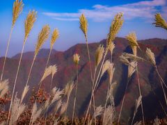 -秦岭风景区
