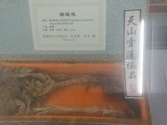 -北京中医药大学-中医药博物馆