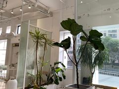 -花沐 FLOWER BATH(凤凰城店)