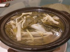 煲淋白菜-沙龙酒家