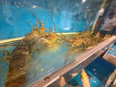 -华盛丰温州大排档(东三环南路店)